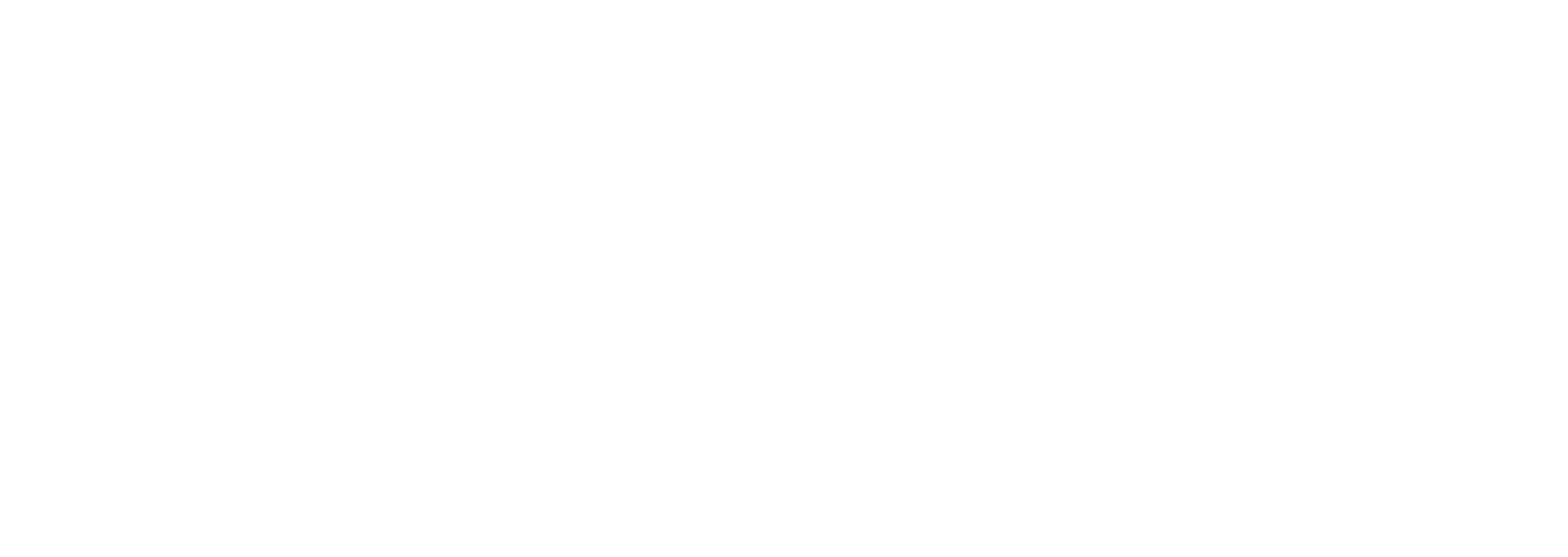 OsteoTech Logo
